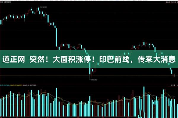 道正网  突然！大面积涨停！印巴前线，传来大消息