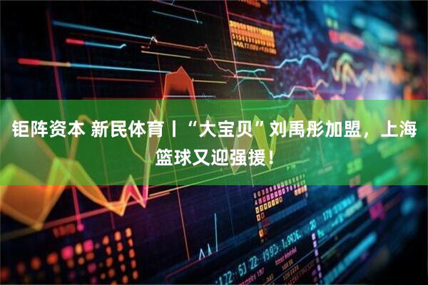钜阵资本 新民体育丨“大宝贝”刘禹彤加盟，上海篮球又迎强援！