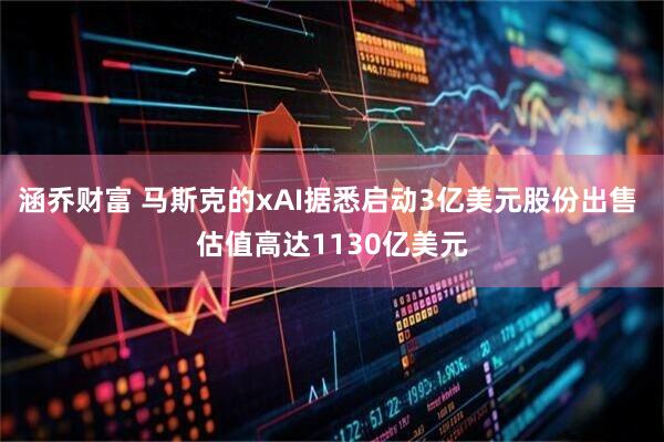 涵乔财富 马斯克的xAI据悉启动3亿美元股份出售 估值高达1130亿美元