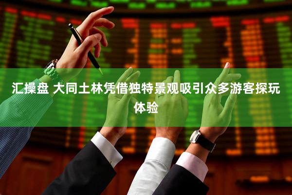 汇操盘 大同土林凭借独特景观吸引众多游客探玩体验