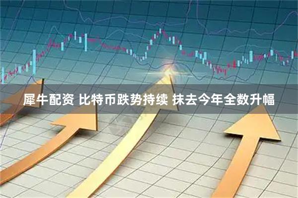 犀牛配资 比特币跌势持续 抹去今年全数升幅